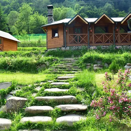 Camp Bilyi Slon * Dzembronia