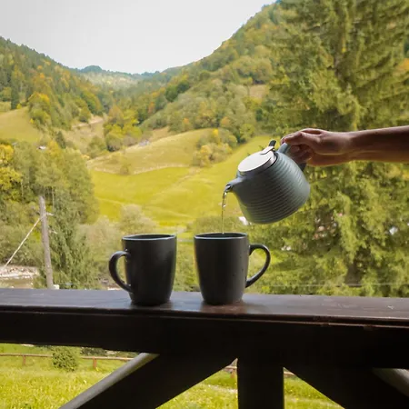 Camp Bilyi Slon * דזמברוניה