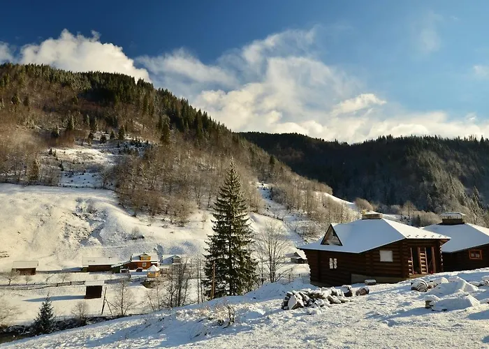 Camp Bilyi Slon *