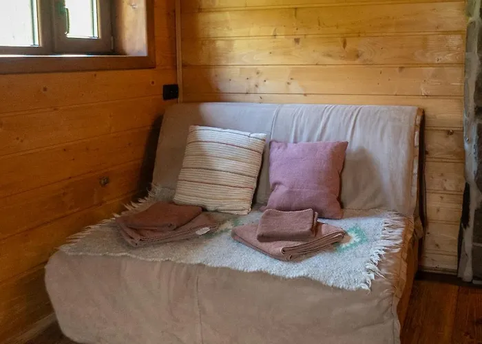Camp Bilyi Slon * Dzembronya
