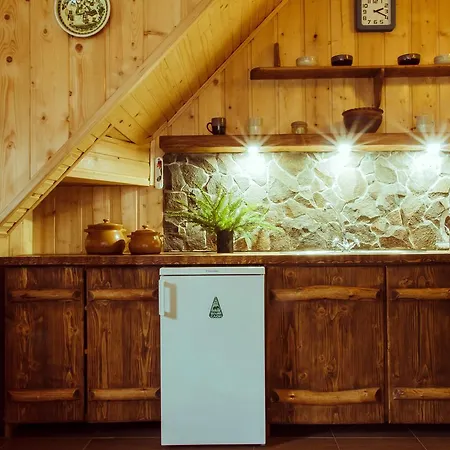 Kemping Camp Bilyi Slon Dzembronya